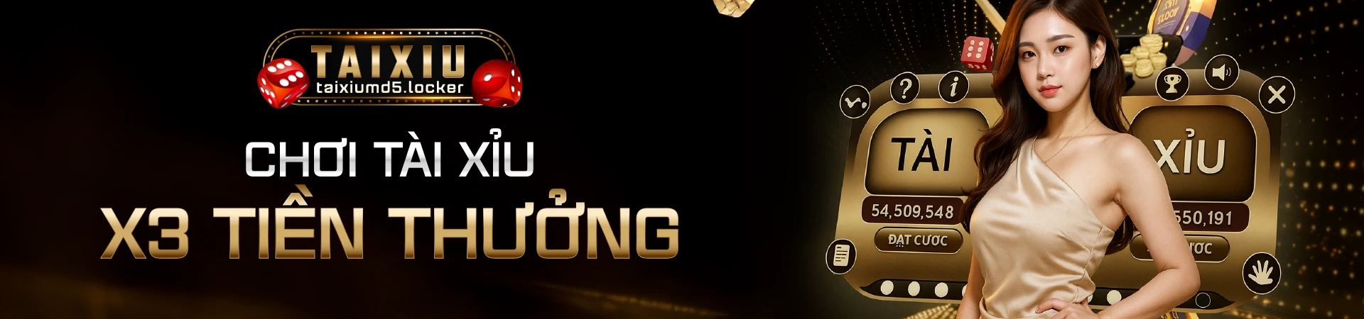 banner-taixiumd5