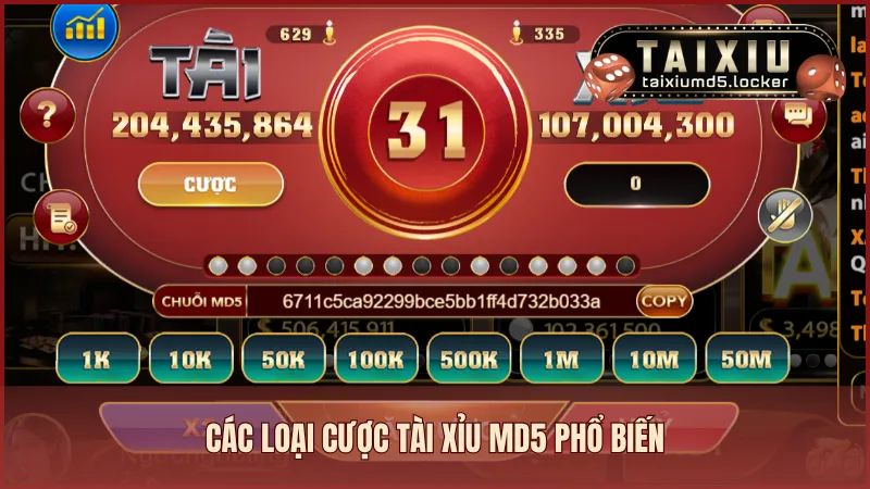 Các loại cược Tài Xỉu MD5 phổ biến tại cổng game uy tín