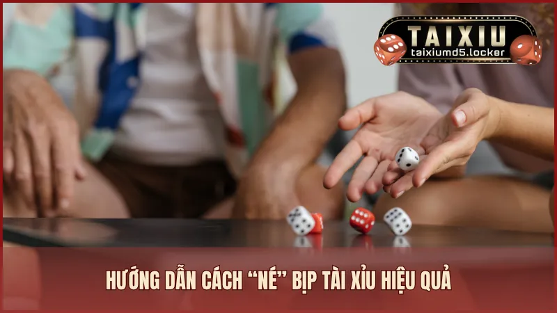 Hướng dẫn cách “né” bịp tài xỉu hiệu quả cho tân binh mới nhập môn