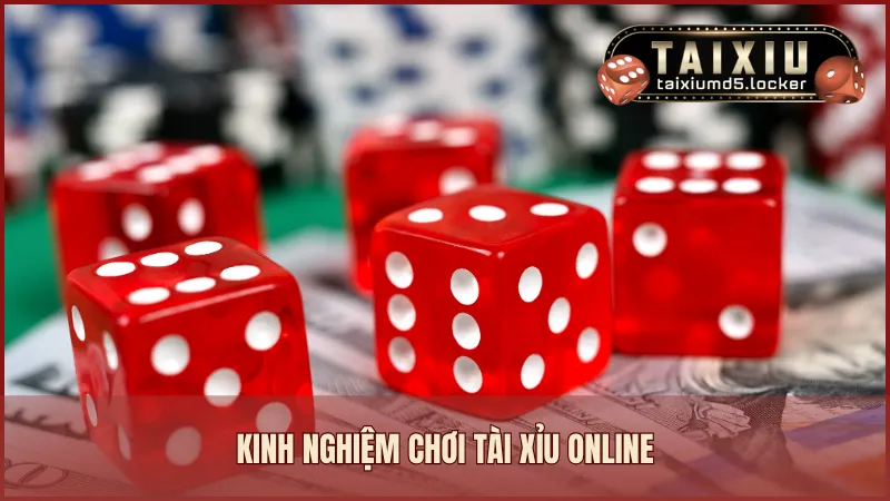 Kinh nghiệm chơi Tài Xỉu online dành cho người mới