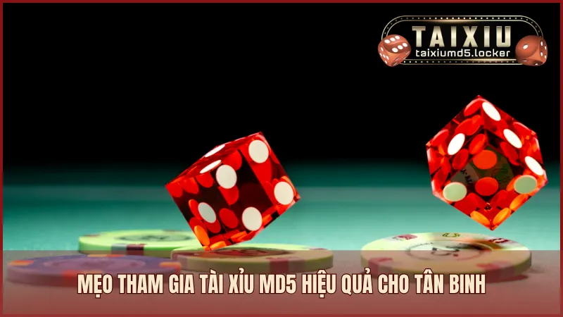 Mẹo tham gia Tài Xỉu MD5 hiệu quả cho tân binh