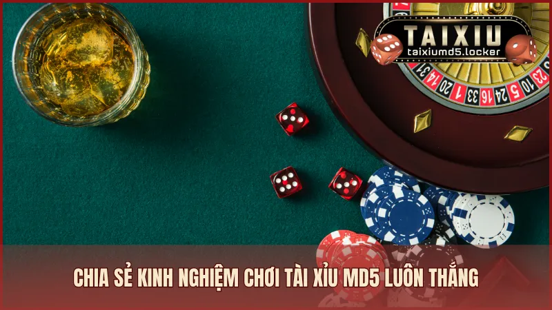 Chia sẻ kinh nghiệm chơi Tài Xỉu MD5 luôn thắng từ cao thủ